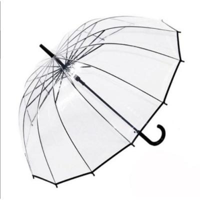 투명우산 지니홀딩스 1+1 프리미엄 투명 비닐 자동 장우산 튼튼한 고급 투명 우산
