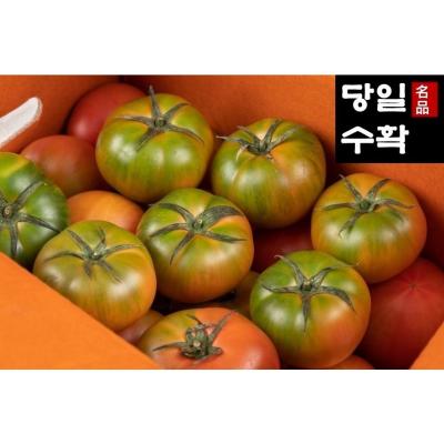 대저짭짤이토마토 [농협인증 농가직송] 당일수확 부산 대저 짭짤이 토마토 2.5kg 로얄과 심콩푸드