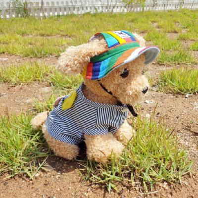 강아지고글 디유라 강아지 썬캡 모자 여름 자외선 차단 애견 산책용 고양이