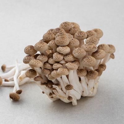 부대찌개햄 친환경 인증 국내산 만가닥버섯